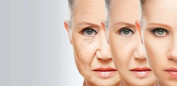 202312722364017091.jpg 202312722364017091.jpg