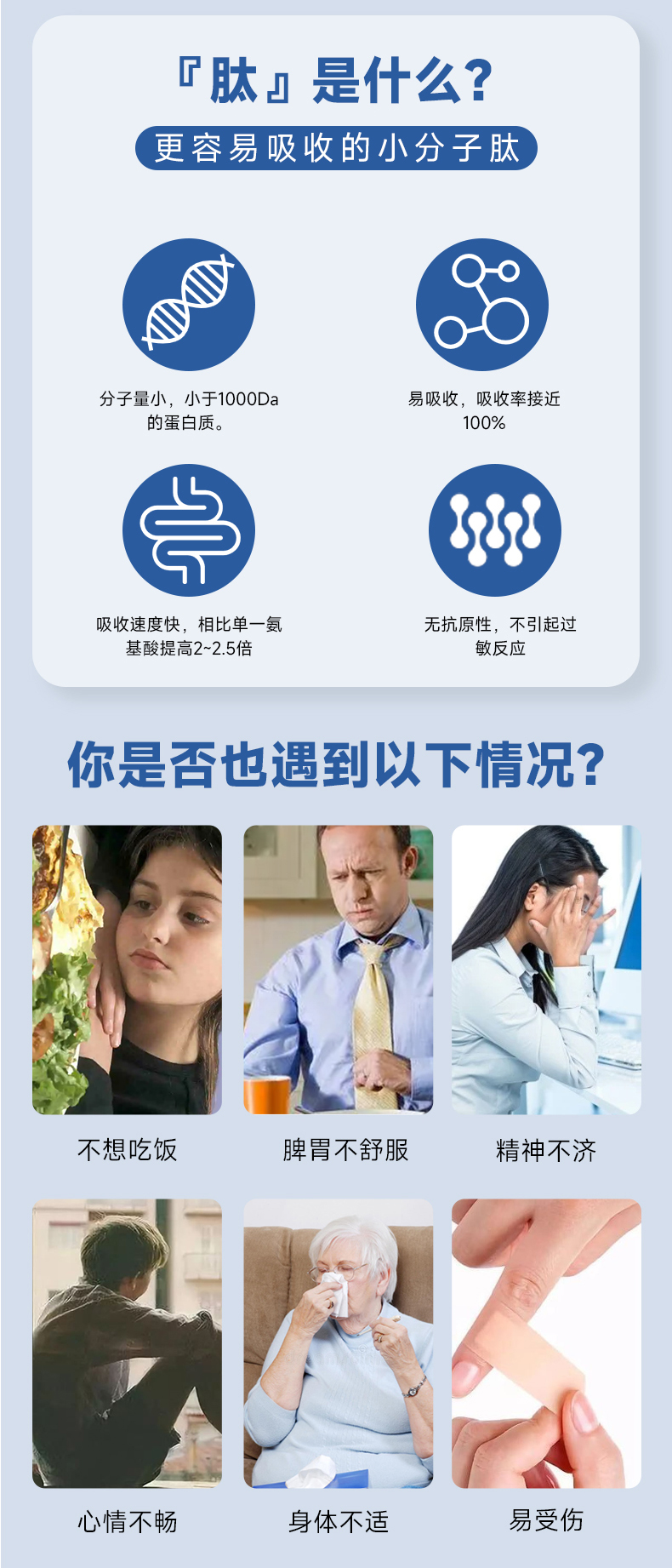 牛脾肽詳情頁(yè)_02.jpg 牛脾肽詳情頁(yè)_02.jpg