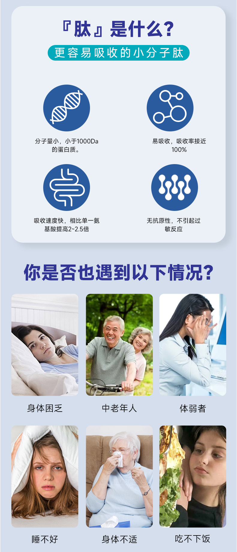 牛腦肽詳情頁(yè)_02.jpg 牛腦肽詳情頁(yè)_02.jpg