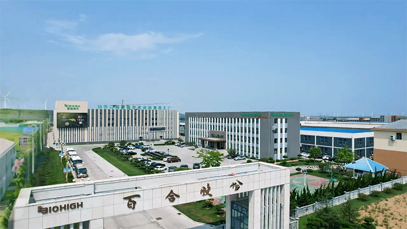 ȫٺϿG܊м8ܹSȫҕ