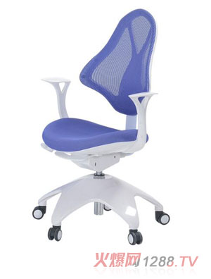 博士有成健康多功能學(xué)習(xí)椅