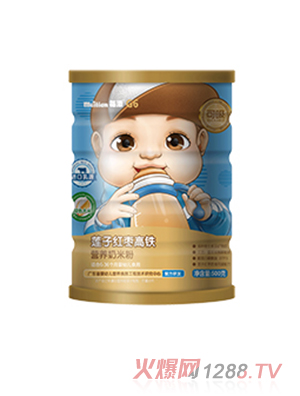 每添金裝G6營(yíng)養(yǎng)奶米粉 蓮子紅棗高鐵
