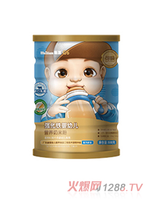 每添金裝G6營(yíng)養(yǎng)奶米粉 強(qiáng)化鐵嬰幼兒